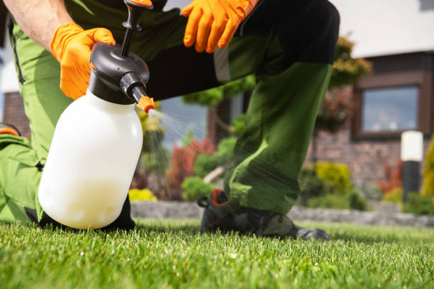 Insect Control in Ogden Dunes, IN